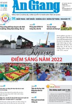 Số 6240 (11-1-2022)