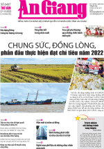 Số 6447 (27-10-2022)