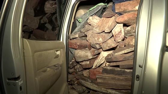 Phát hiện hơn 2 tấn gỗ trắc trên ô tô có 2 biển số giả