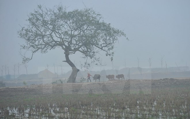 Sương mù mờ ảo tạo khung cảnh tuyệt đẹp tại Tràng An, Ninh Bình. (Ảnh: Minh Đức/TTXVN)