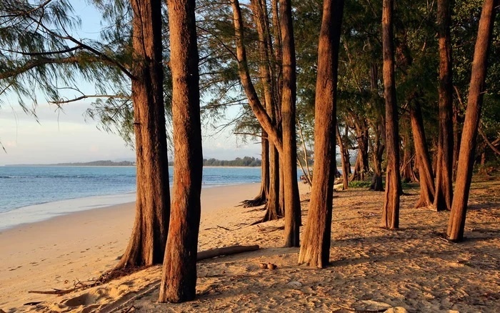 Lên kế hoạch cho kỳ nghỉ hoàn hảo ở Phuket