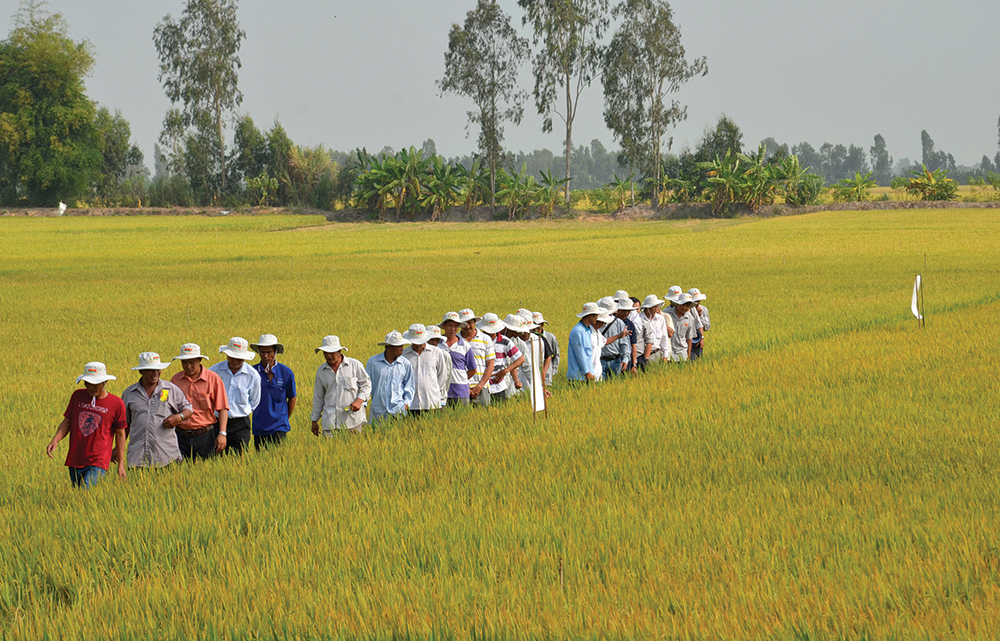 Khuyến khích ND ứng dụng tiến bộ khoa học – kỹ thuật vào đồng ruộng