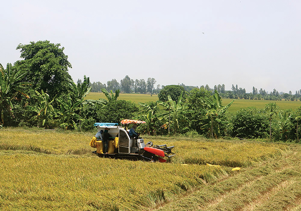 Thúc đẩy kinh tế tập thể phát triển