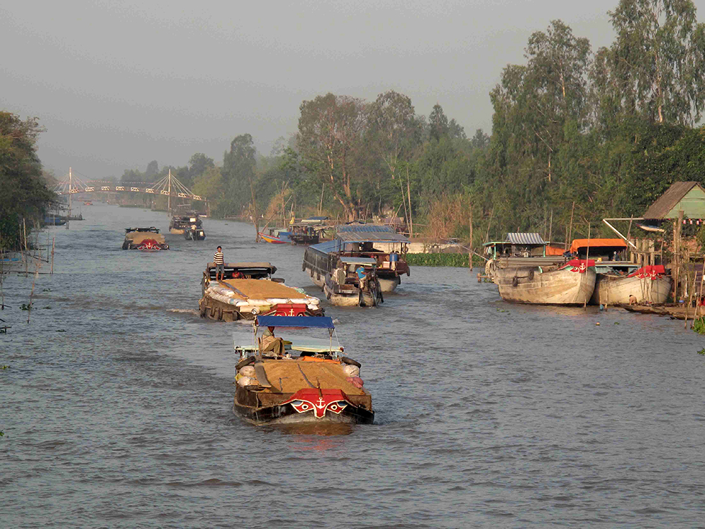 Ghe chở lúa trên các kênh, rạch 