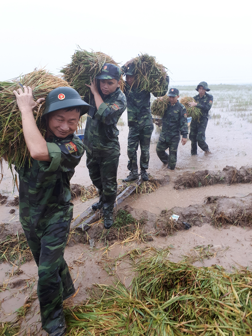 Đồn Biên phòng Bắc Đai giúp nông dân thu hoạch lúa chạy lũ