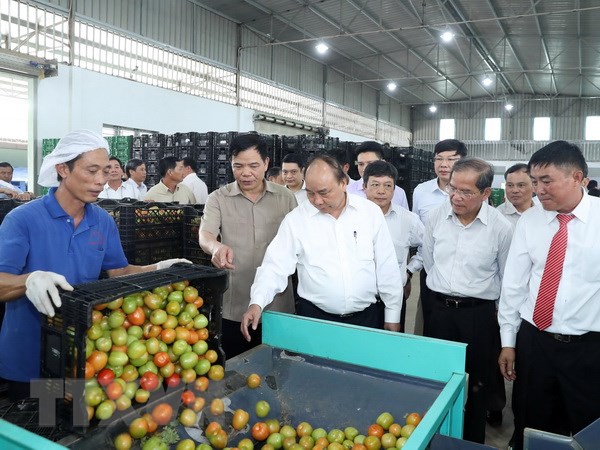Thủ tướng Nguyễn Xuân Phúc thăm Công ty TNHH Sản xuất - Thương mại nông sản Phong Thúy. (Ảnh: Thống Nhất/TTXVN)