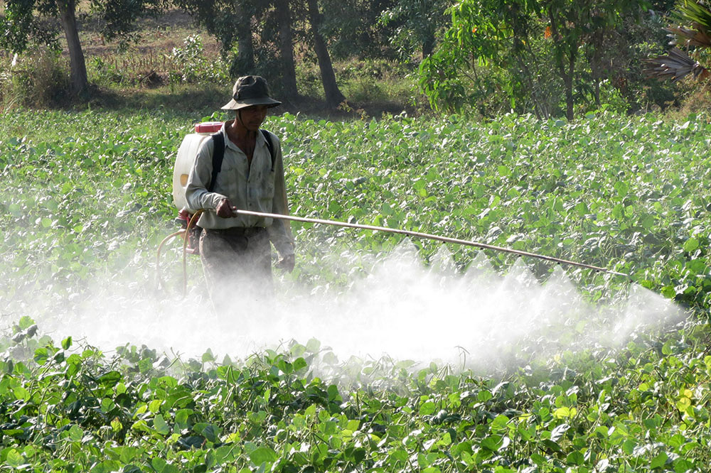 Nâng cao ý thức nông dân trong sử dụng thuốc bảo vệ thực vật