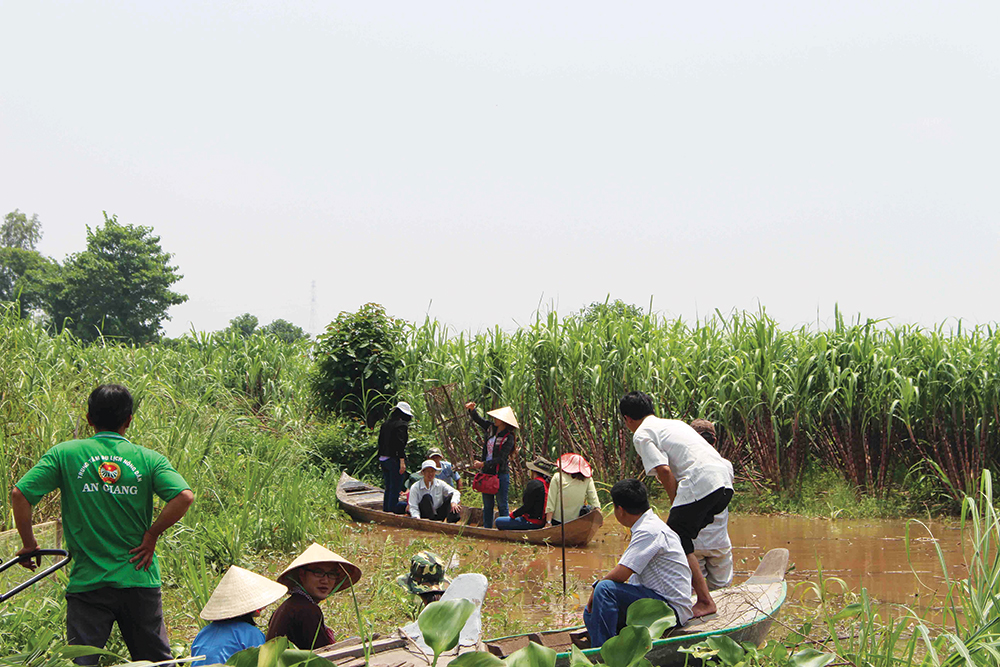 Nông dân làm du lịch miệt vườn