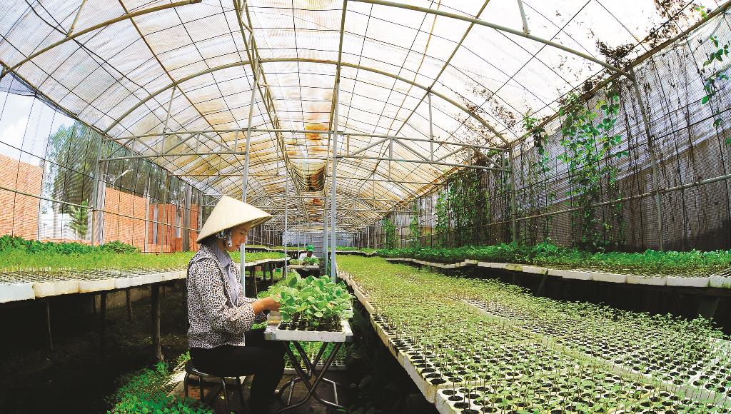 Động lực vươn lên của An Giang