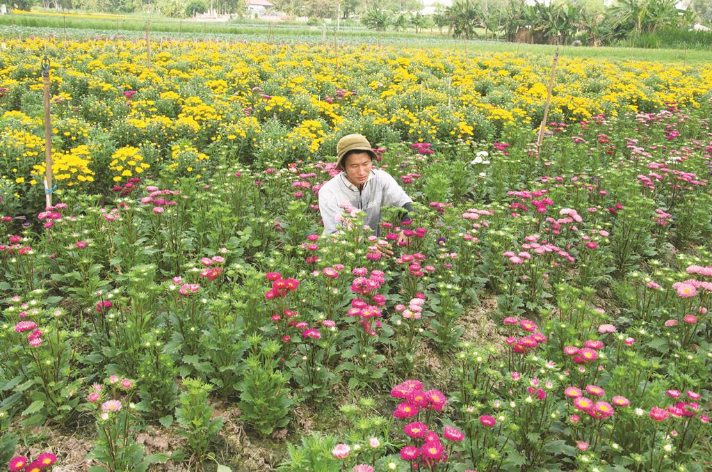 Động lực vươn lên của An Giang