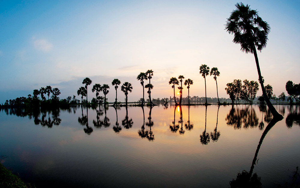 Bình minh trên đồng lũ