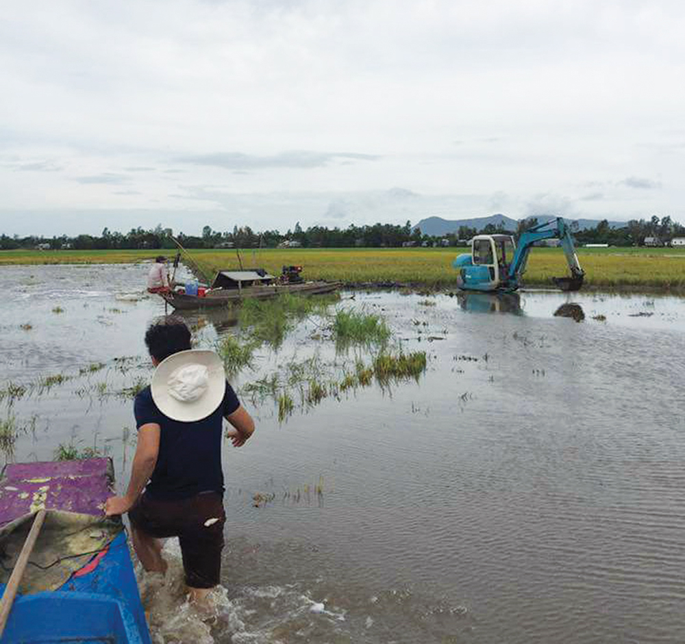 Châu Phú khép vùng đảm bảo sản xuất cho nông dân