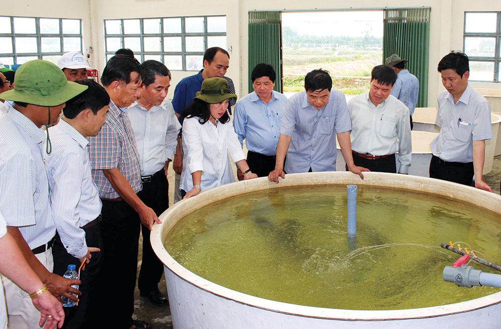 Bộ trưởng Bộ Nông nghiệp và Phát triển nông thôn Nguyễn Xuân Cường kiểm tra sản xuất cá tra giống