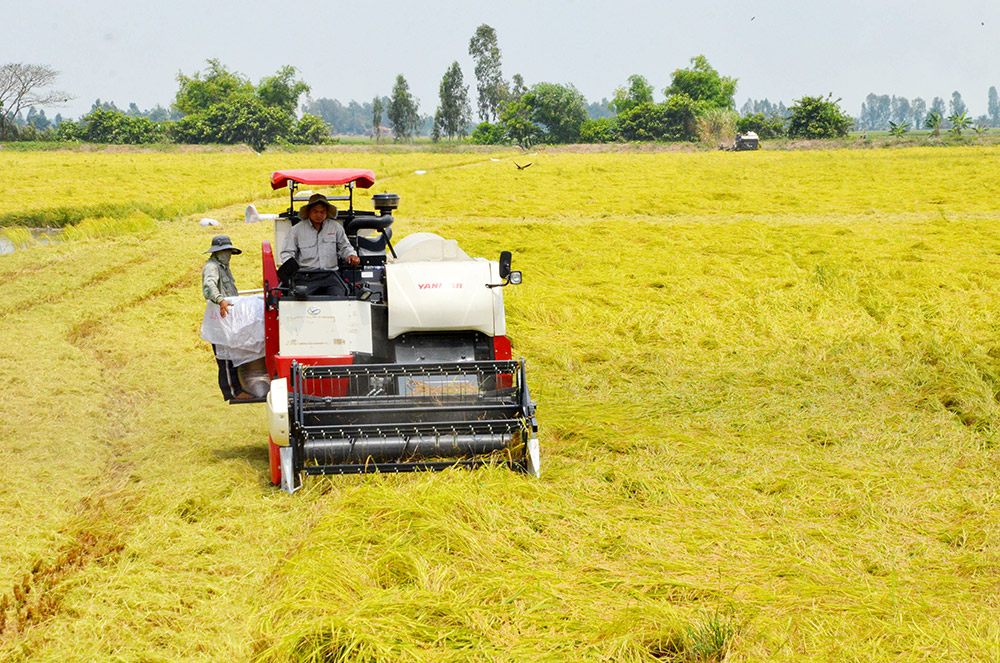 Nông nghiệp phát triển ổn định