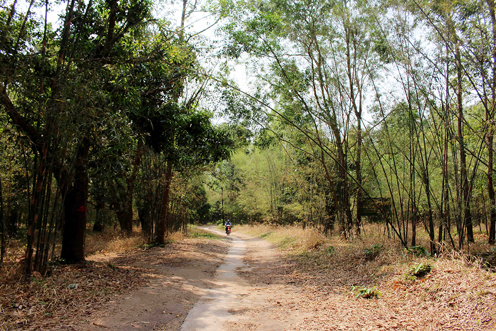 Hình thành “vành đai xanh” bảo vệ rừng   