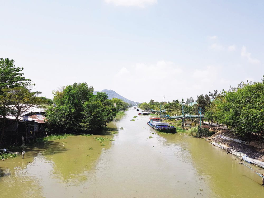 Ứng phó xâm nhập mặn