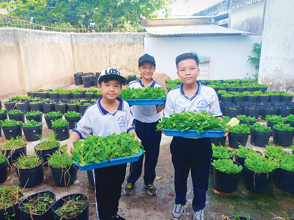 Học sinh tự trồng vườn rau sạch