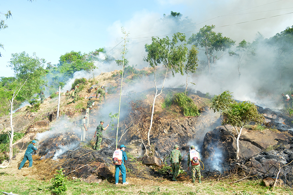 Tịnh Biên diễn tập chữa cháy rừng