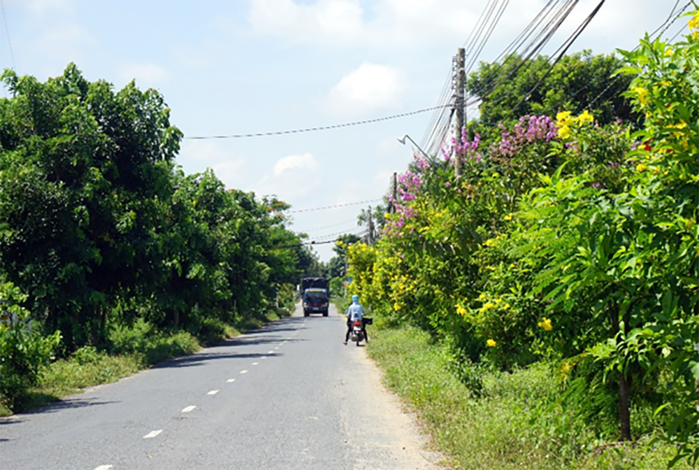 Rực rỡ đường hoa nông thôn Phú Thành