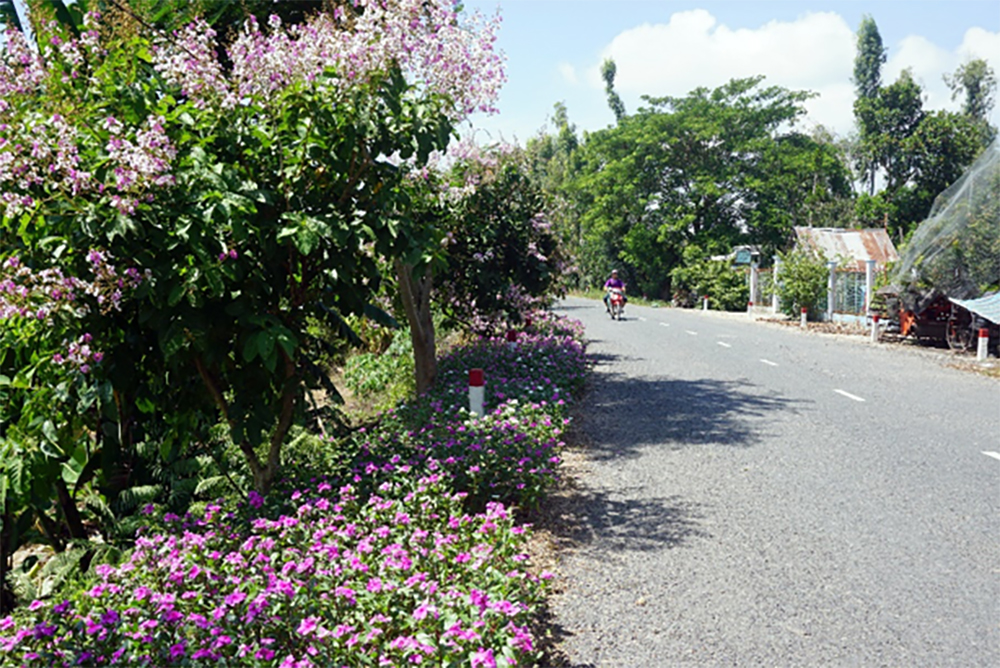 Rực rỡ đường hoa nông thôn Phú Thành