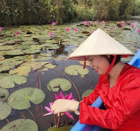 Xuyên rừng đêm ngắm bông súng nở