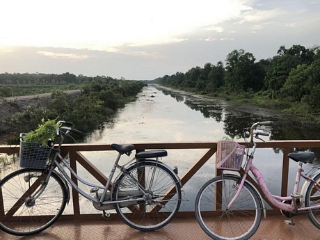 Xuyên rừng đêm ngắm bông súng nở