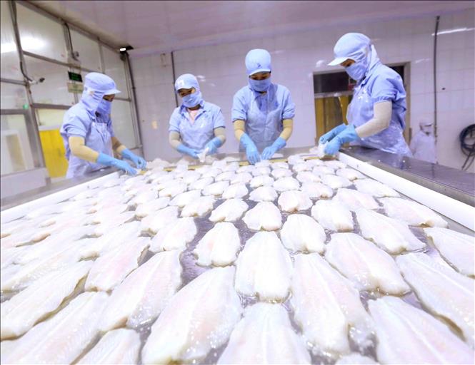 2019 có thể là năm thứ 4 xuất siêu liên tiếp của Việt Nam