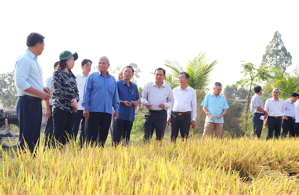 Bí thư Tỉnh ủy Võ Thị Ánh Xuân làm việc về tình hình sản xuất và tiêu thụ nông sản ở Phú Tân