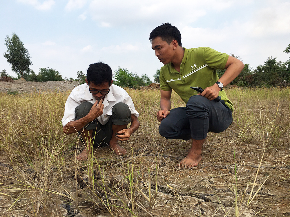 “Lão Hiền” - người giữ màu xanh cho lúa - Kỳ 2: Làm khoa học theo cách nông dân