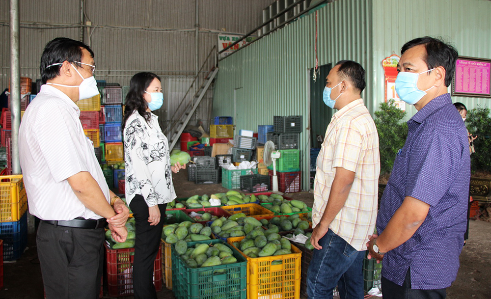 Bí thư Tỉnh ủy An Giang Võ Thị Ánh Xuân khảo sát tình hình sản xuất, tiêu thụ nông sản trên địa bàn huyện Chợ Mới