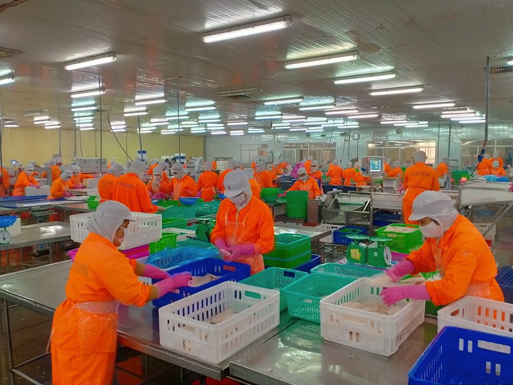 Tập đoàn Nam Việt vẫn duy trì sản xuất trong mùa dịch