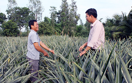 Đổi thay trên vùng căn cứ cách mạng