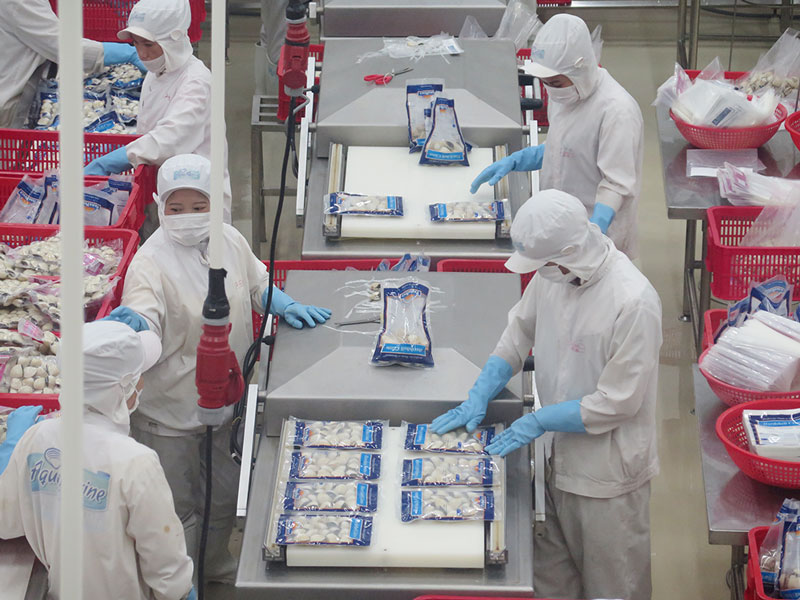 Ngành thủy sản phục hồi sau hạn mặn