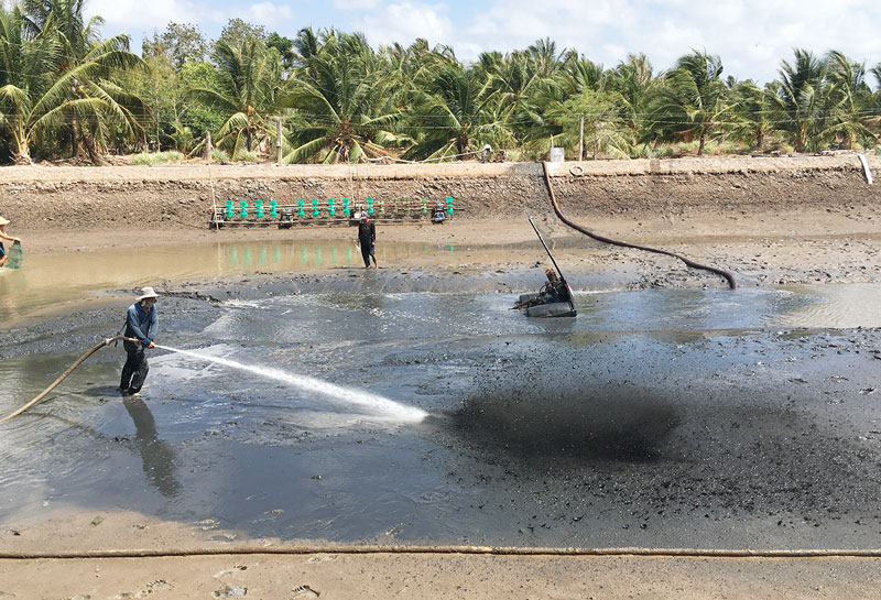 Ngành thủy sản phục hồi sau hạn mặn
