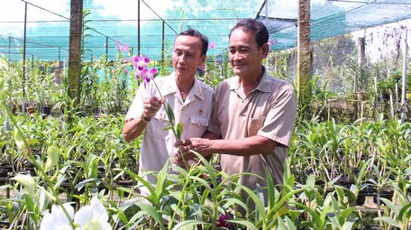 Vĩnh Long: Xây dựng Phường 9 giàu đẹp, văn minh tiến lên hiện đại