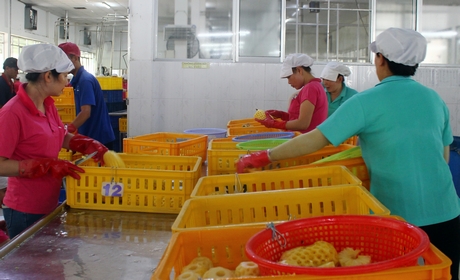 Lấy thách thức làm đòn bẩy phát triển