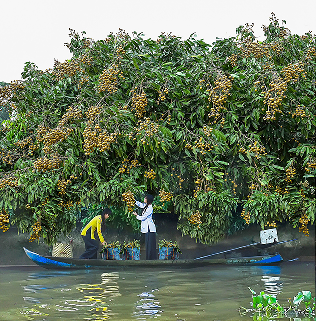 Vì quê hương Châu Thành giàu đẹp, nghĩa tình