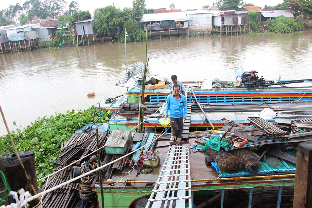 Một nông dân ở Chợ Mới dụ nuôi hàng ngàn cá tra sông tự nhiên trước bến sông nhà để ngắm