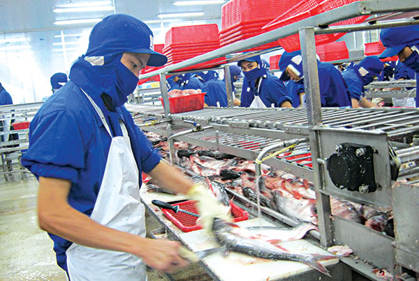 Cần Thơ: Trợ lực khai thác thị trường và vốn cho doanh nghiệp thủy sản