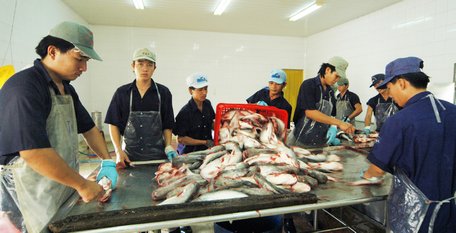 Tạo nguồn kinh tế, nâng chất lượng nguồn nhân lực