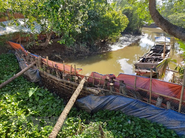 Bến Tre: Hiệu quả từ đập tạm ngăn mặn ở Chợ Lách