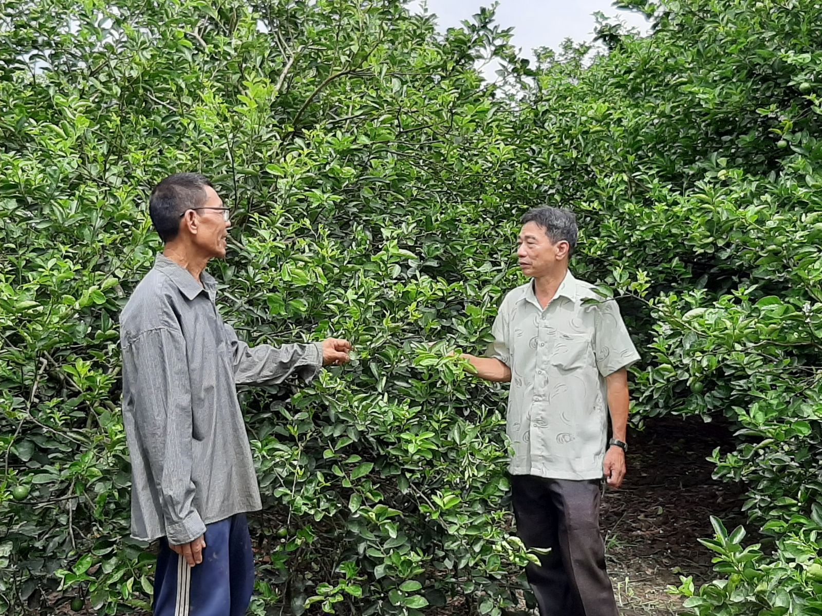 Cần Thơ: Xây dựng quận Cái Răng trở thành đô thị văn minh, hiện đại