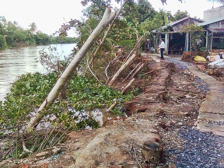 Để hạn chế sạt lở bờ sông trong mùa mưa, lũ