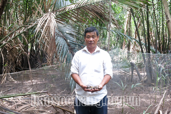 Mô hình hiệu quả trong công tác quản lý rừng