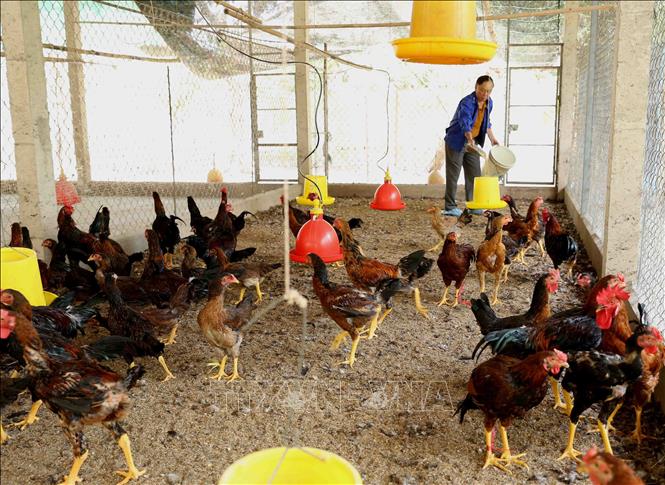 Nhiều sản phẩm chủ lực nâng cao cạnh tranh