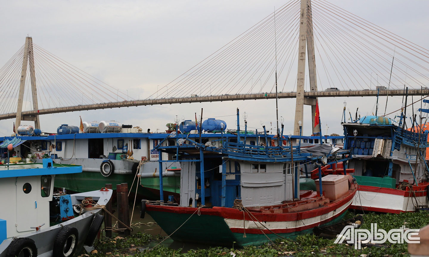 Cần sớm đưa Khu neo đậu tàu thuyền vào hoạt động