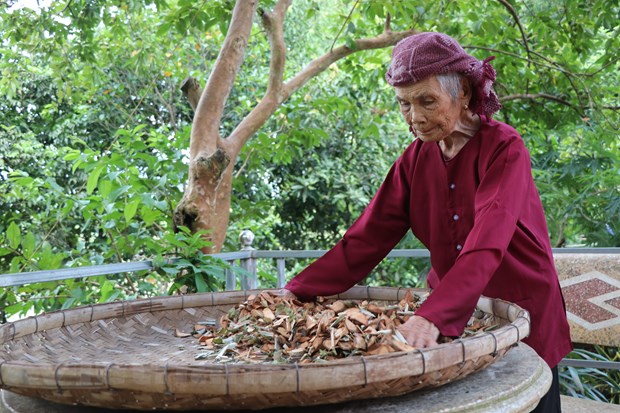 Mẹ Việt Nam Anh hùng: Những người 'chắt thương đau' thành 'nhựa sống'