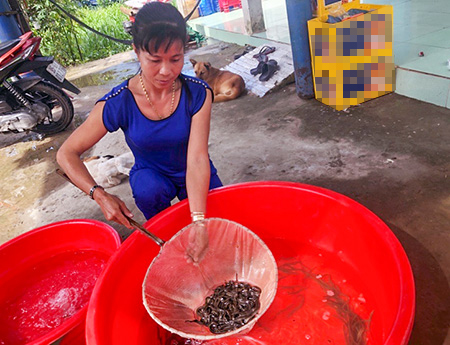 Hậu Giang: Phát huy hiệu quả phong trào sản xuất, kinh doanh giỏi
