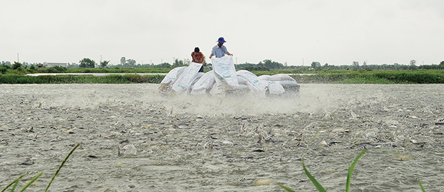 Niềm tin mới trên quê hương Hồng Ngự