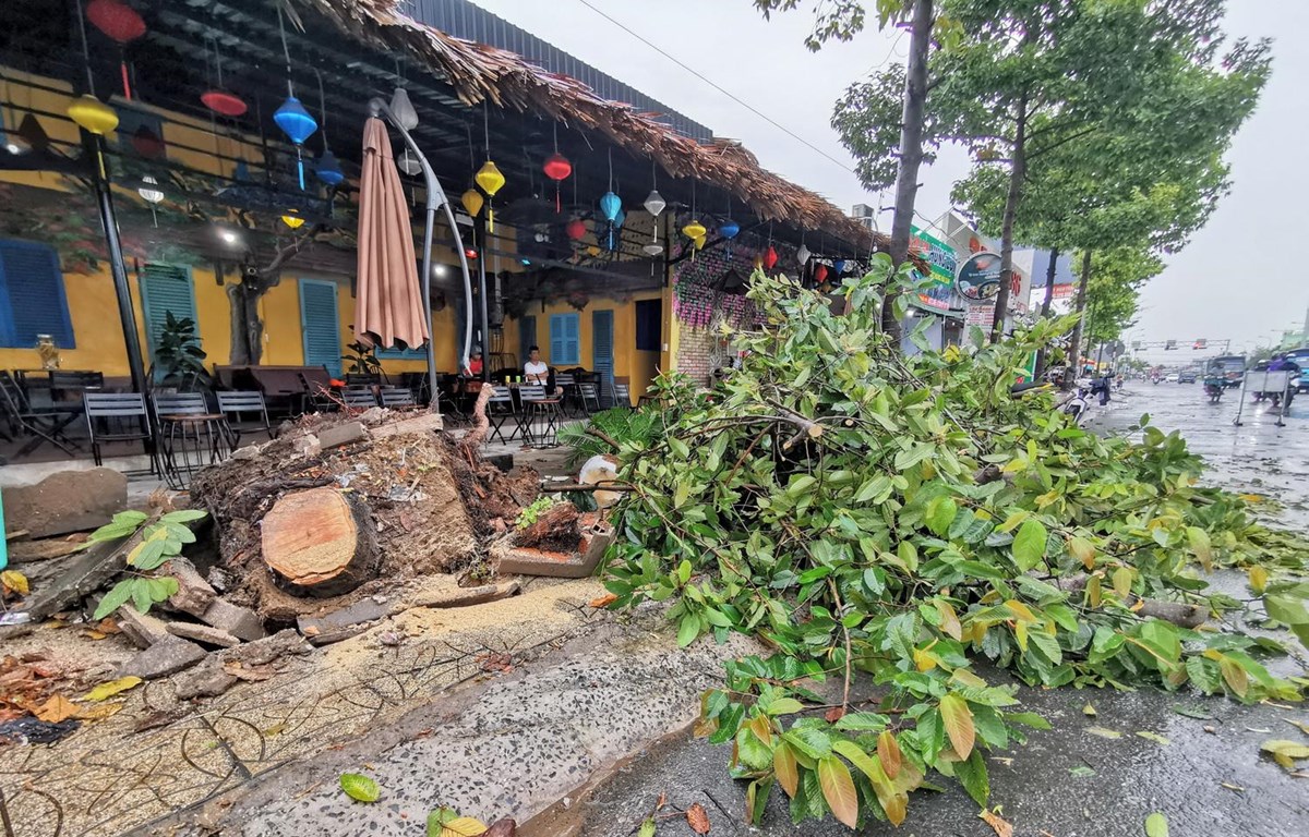 Cần Thơ: Hỗ trợ các hộ dân bị ảnh hưởng do mưa to và gió lốc